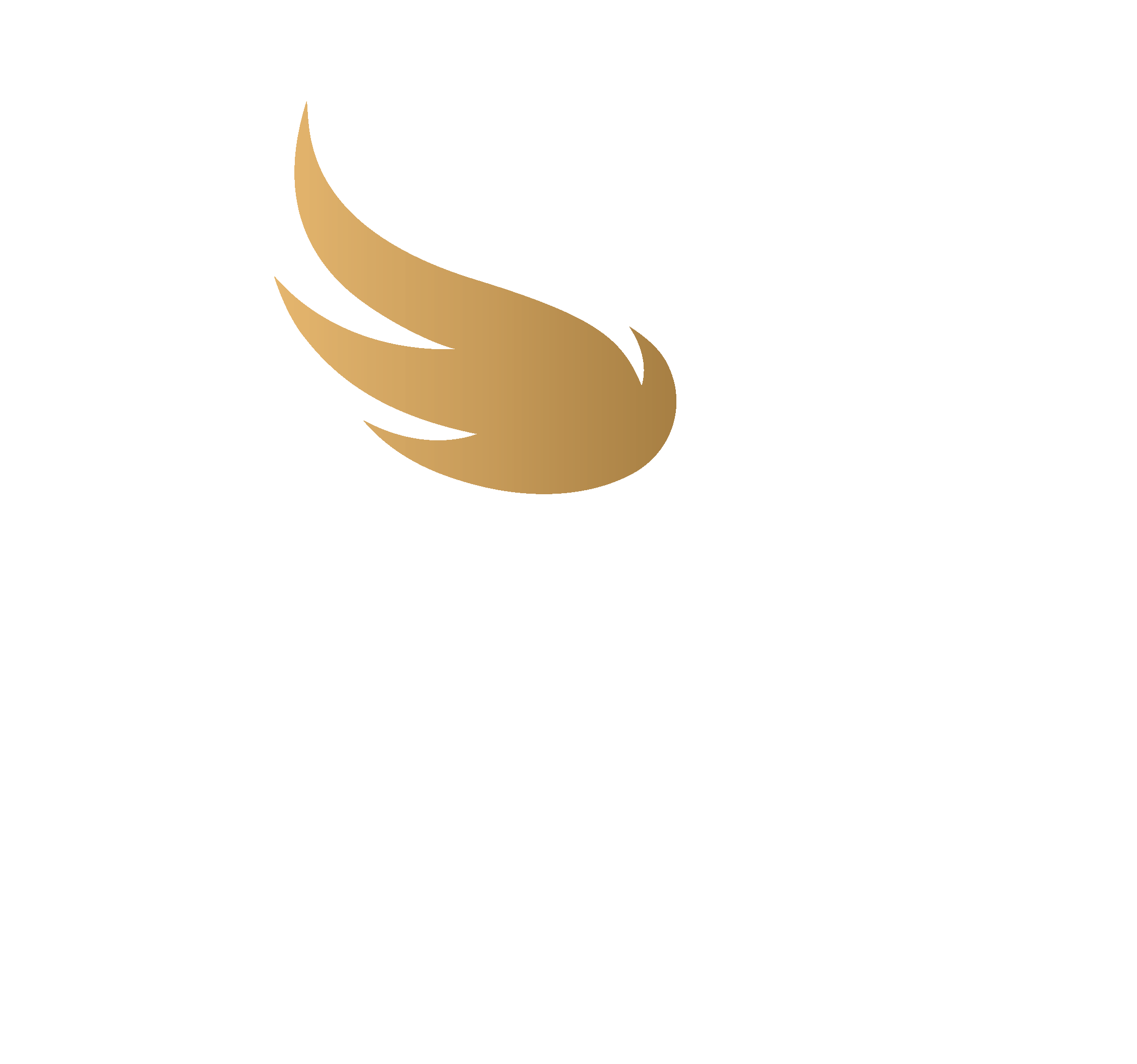 Swan_Security_Logo_White
